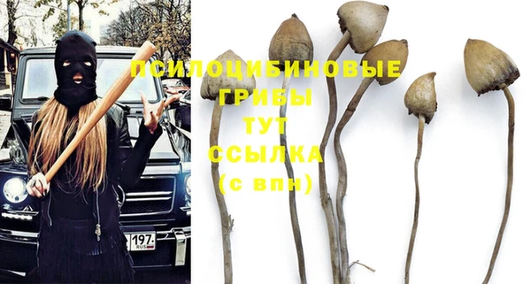 ешки Горнозаводск