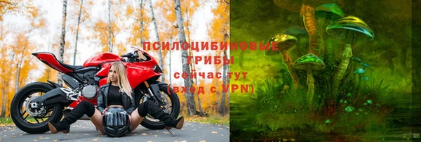 ECSTASY Горно-Алтайск